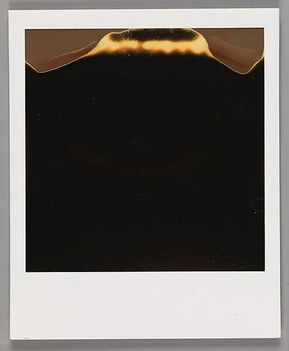 [Unidentifiable Blurred and Abstract Forms]