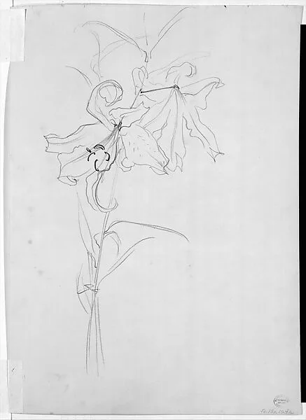 Lily, Study for "Carnation, Lily, Lily, Rose" — John Singer Sargent