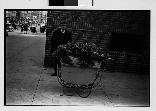 [Two 35mm Film Frames: Vendor with Flowers in Baby Carriage on Sidewalk]