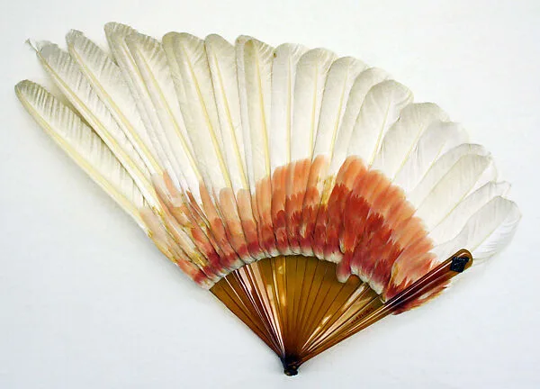 Fan — Unknown