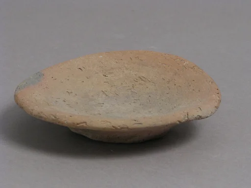 Dish