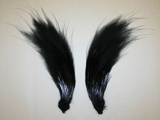 Aigrette