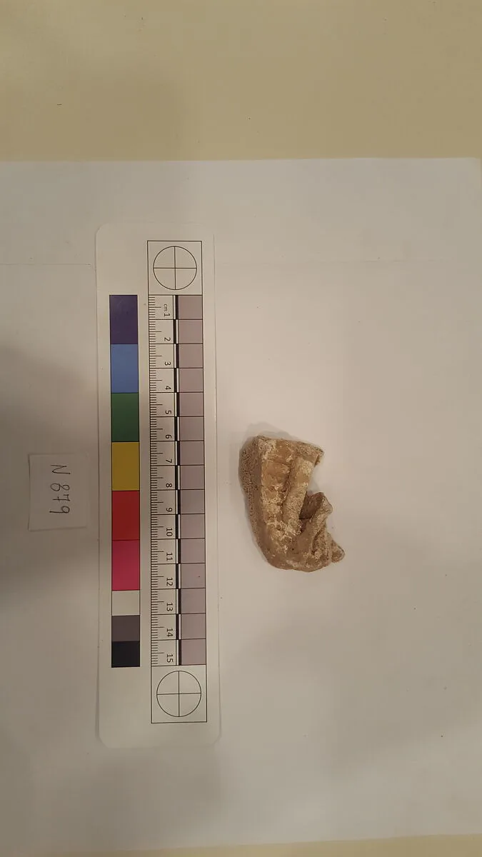 Stucco Fragment — Unknown