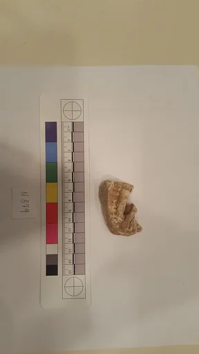 Stucco Fragment
