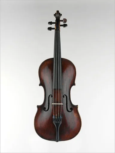 Viola