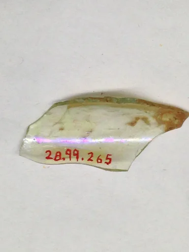 Fragment