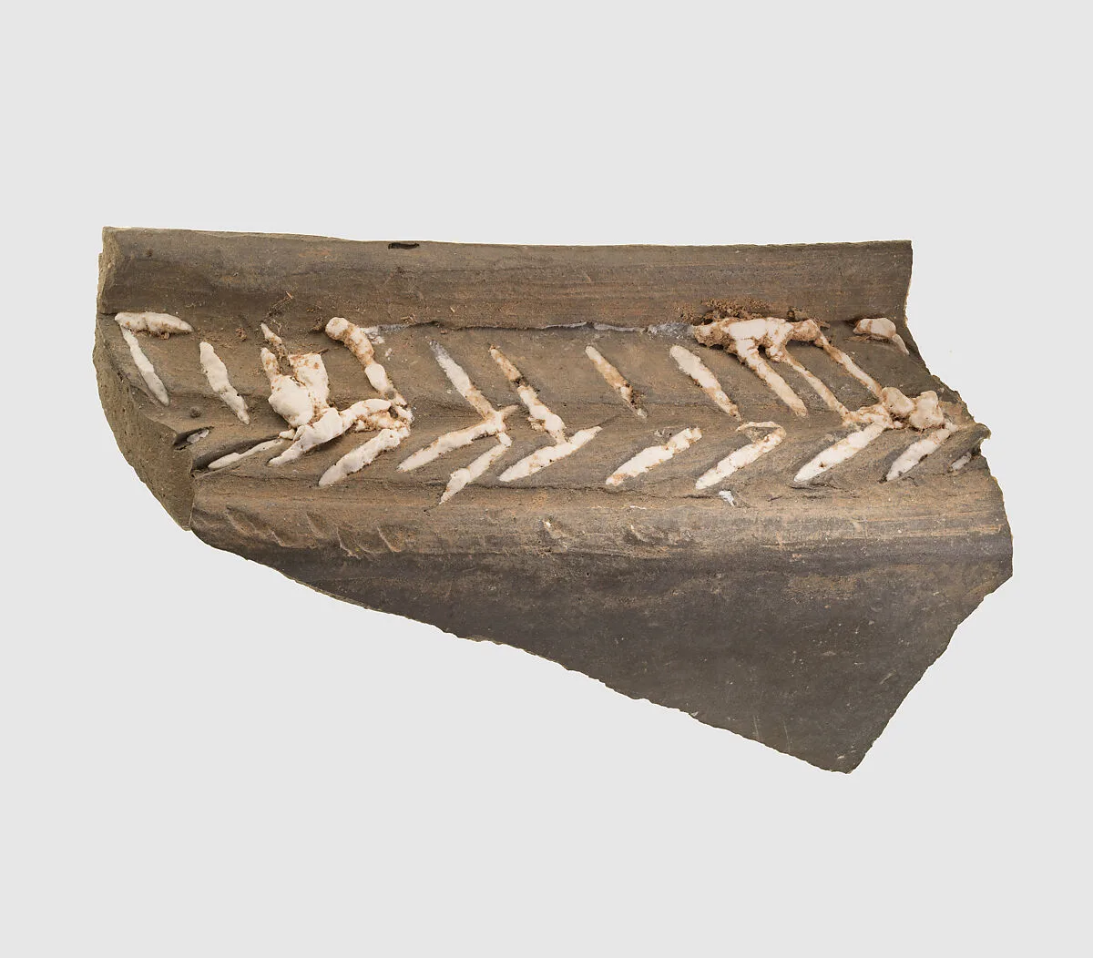 Carinated bowl rim sherd — Unknown