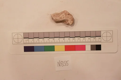 Stucco Fragment