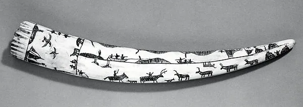 Engraved Tusk — Unknown