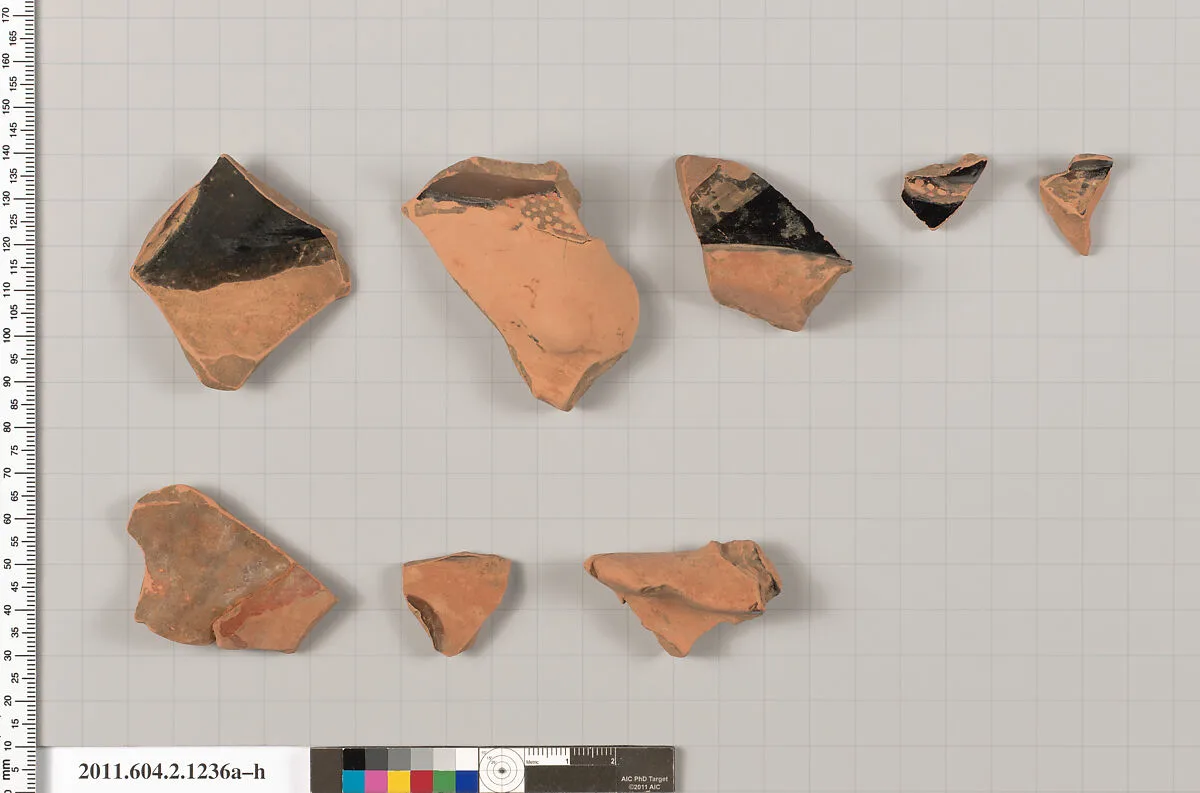 Terracotta fragments from a plastic vase — Unknown