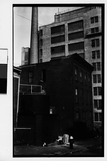[View of House at 48 Columbia Heights, Corner of Poplar Street, Brooklyn, New York City]