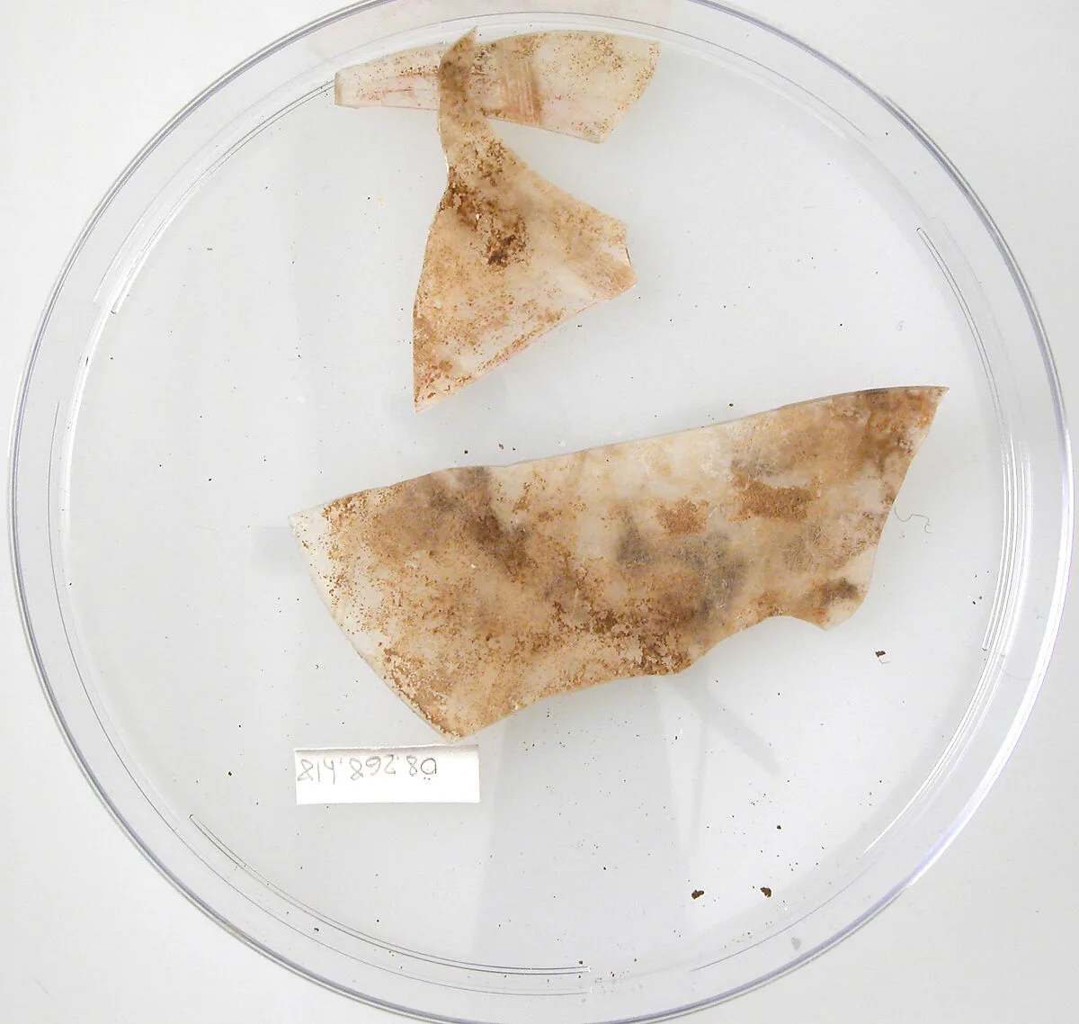 Glass Fragments — Unknown