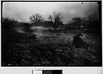 [Man Seated in Field (Possibly Walker Evans)]