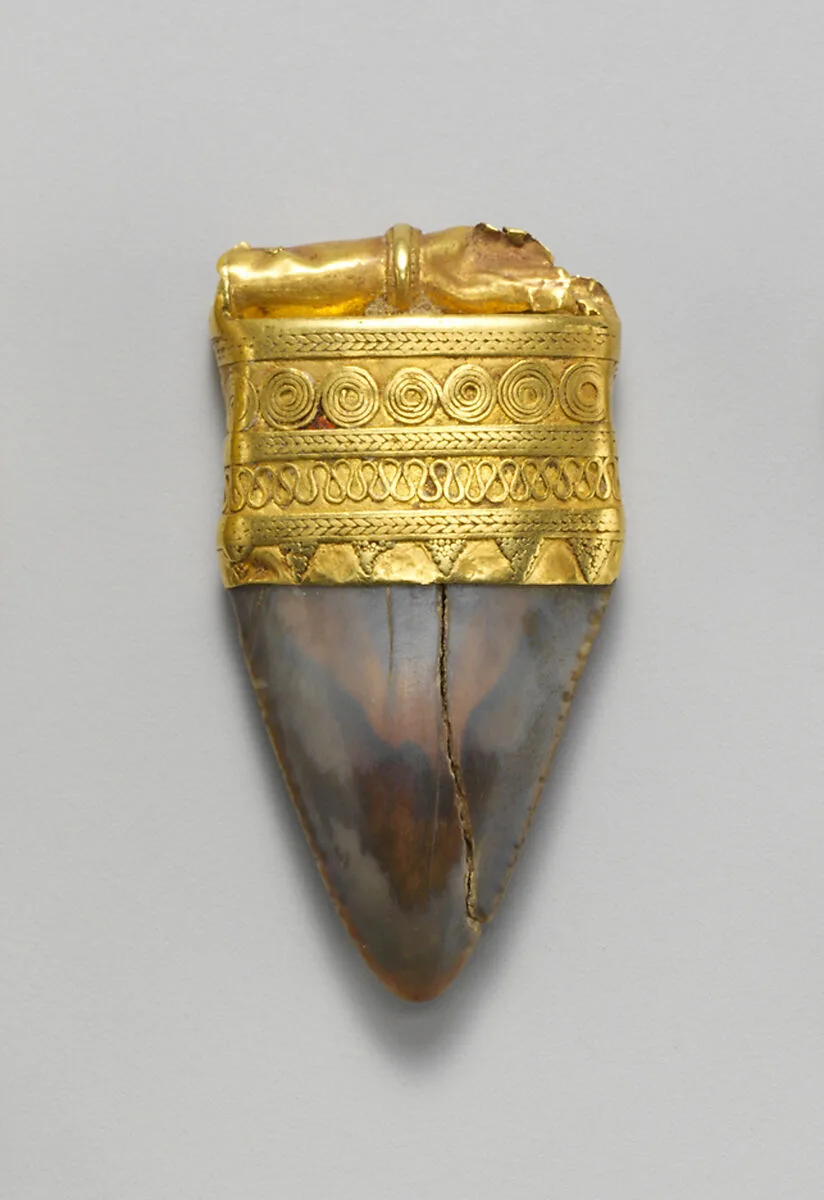 Tooth pendant set in gold — Unknown