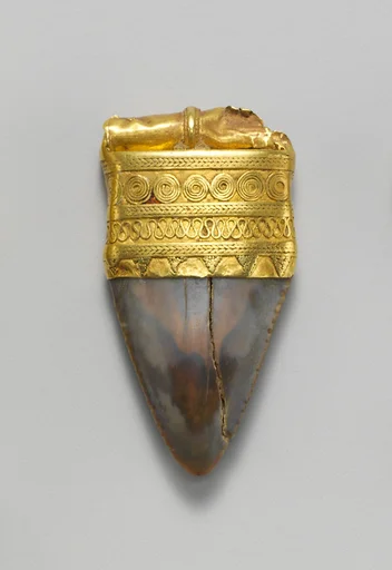 Tooth pendant set in gold
