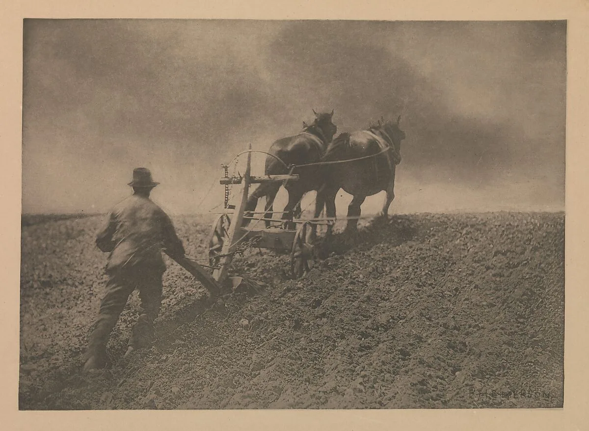 A Stiff Pull — Peter Henry Emerson