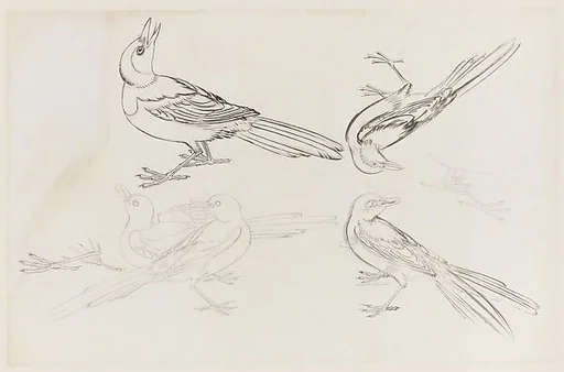 現代 謝稚柳 雀鳥畫稿 鏡片|Birds