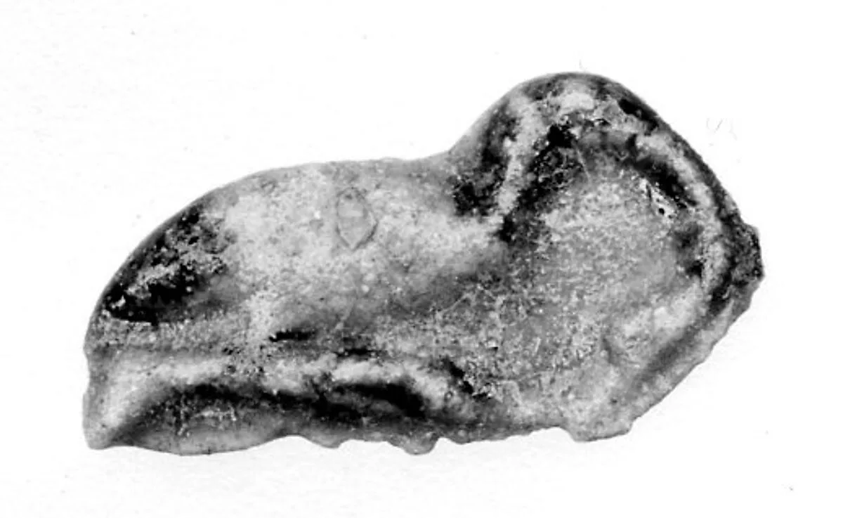 Ibis Amulet — Unknown