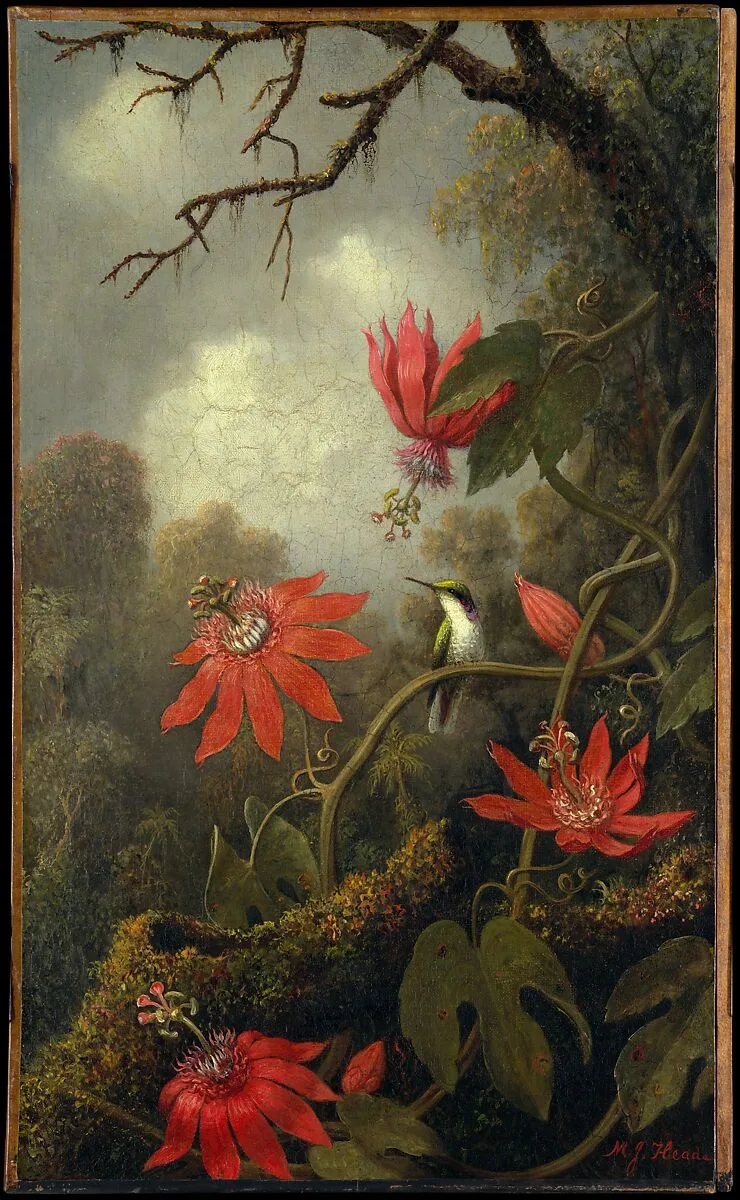Hummingbird and Passionflowers — Martin Johnson Heade