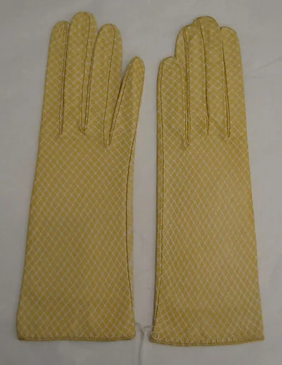 Gloves