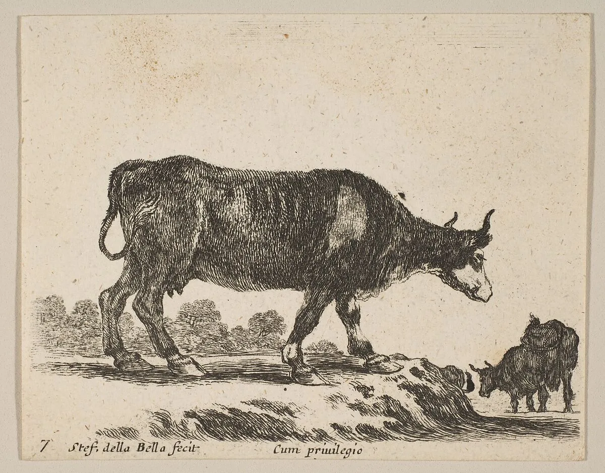 Plate 7: Cow, from "Various animals" (Diversi animali) — Stefano della Bella