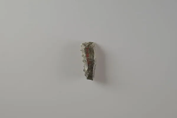 Sickle Insert (?) — Unknown