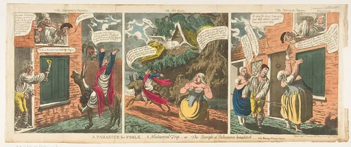 A Paradice [sic] for Fools–A Nocturnal Trip–or–The Disciple of Johanna benighted–vided Scourge No. XXXVI, page 510