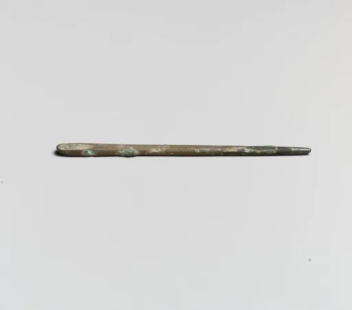 Ear probe