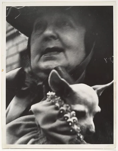 [Woman Holding Small Dog, possibly New York City]
