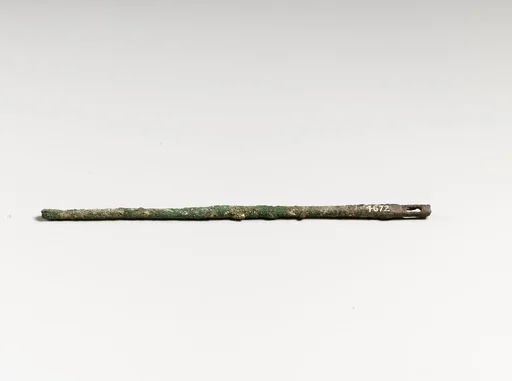 Needle