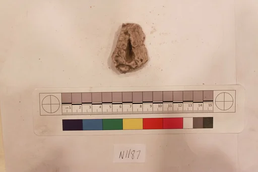 Stucco Fragment