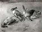 Ducks — Andrew Michael Dasburg