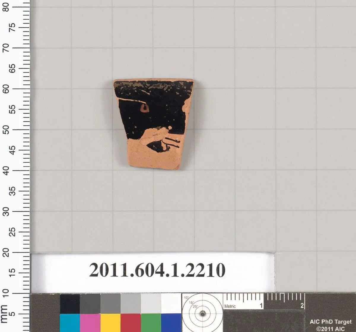 Terracotta rim fragment of a kylix (drinking cup) — Unknown