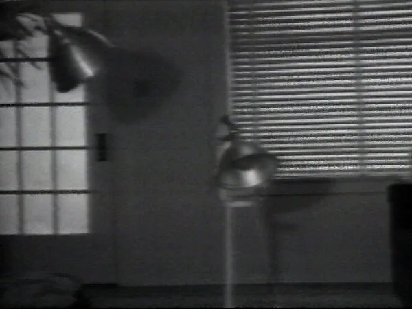 Randy’s Sick — William Wegman