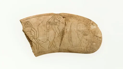 Magic wand fragment