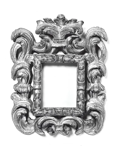 Cauliculi frame