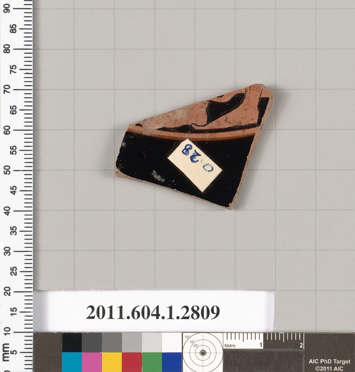 Terracotta fragment of a kylix (drinking cup) — Unknown