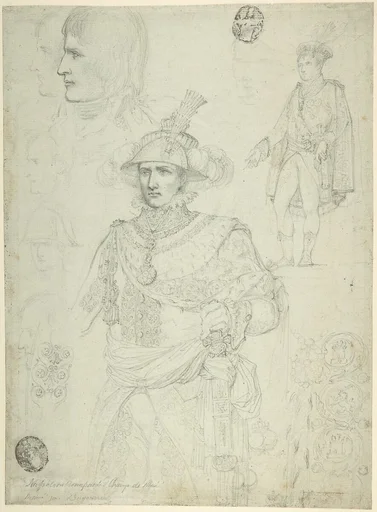 Napoleon Bonaparte at the Champ de Mai, June 1, 1815