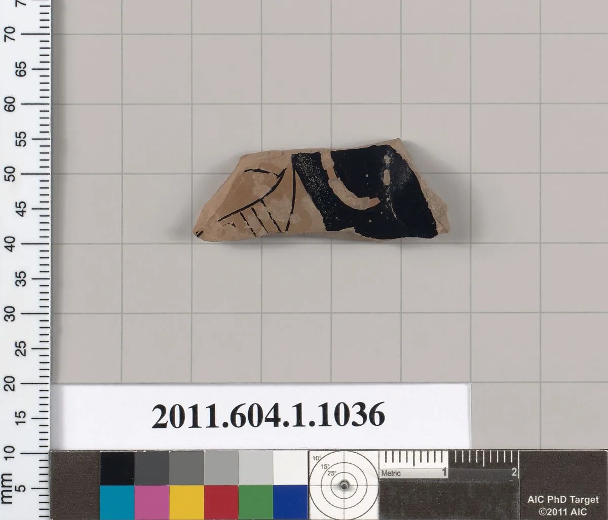 Terracotta fragment of a kylix (drinking cup) — Unknown