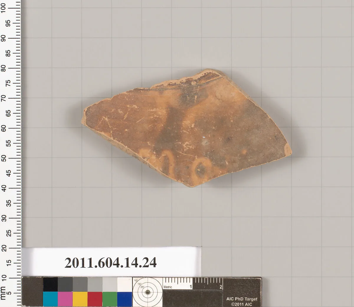 Terracotta fragment of an undetermined closed shape — Unknown