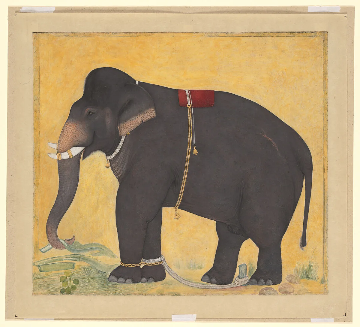 Young Elephant Eating — Unknown