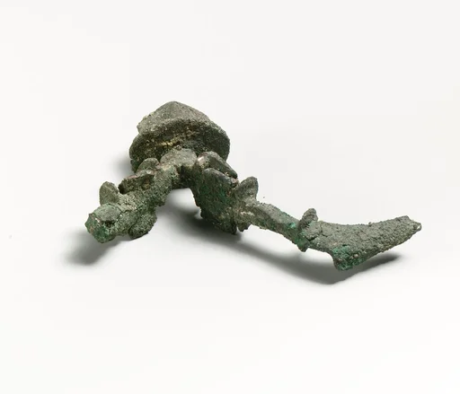 Fibula