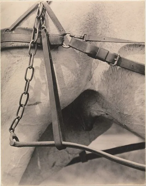 Spiritual America — Alfred Stieglitz