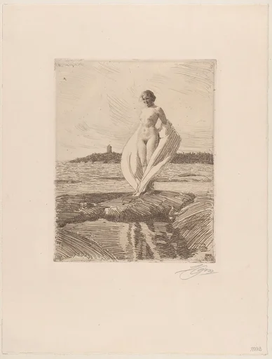 The Swan