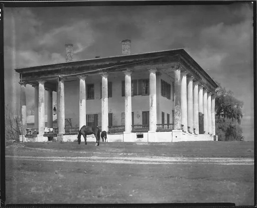 [Greenwood Plantation House with Horses Grazing, Louisiana]