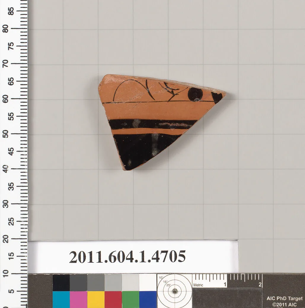 Terracotta fragment of a kylix (drinking cup) — Unknown