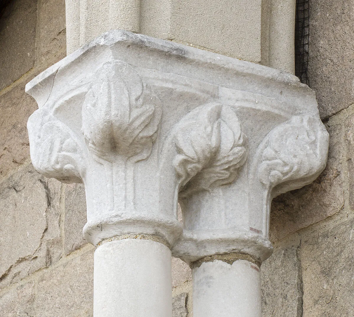Double Capital — Unknown