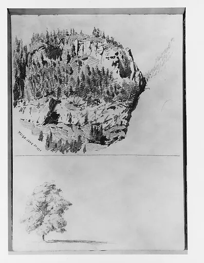 Landscape Study at Faido, Tree (from Switzerland 1870 Sketchbook)