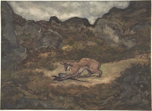 Caracal and Pheasant