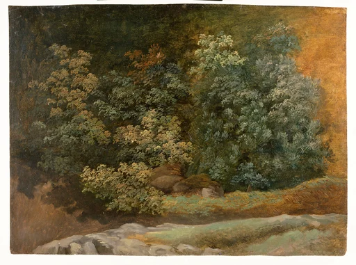 Study of Trees and Bushes